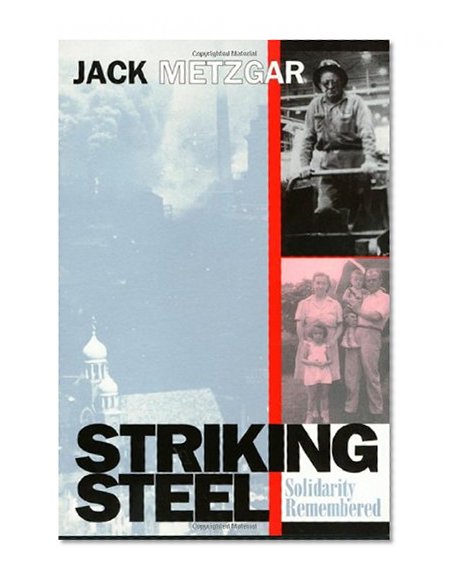 Book Cover Striking Steel (Solidarity Remembered) (Critical Perspectives on the past series)