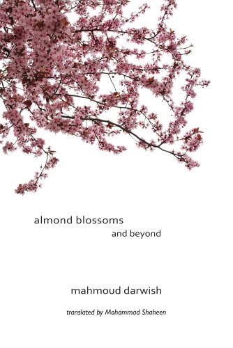 Book Cover Almond Blossoms and Beyond