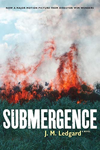Book Cover Submergence