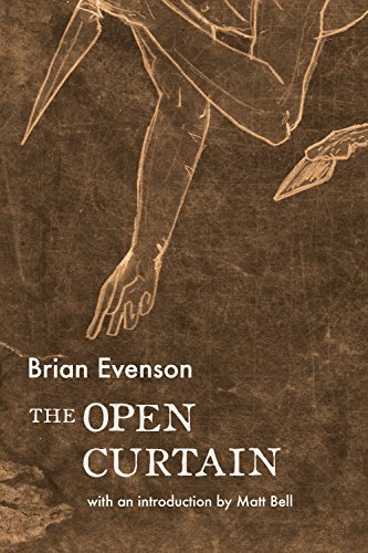 Book Cover The Open Curtain