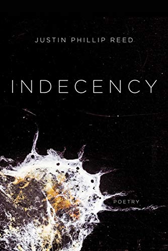 Book Cover Indecency