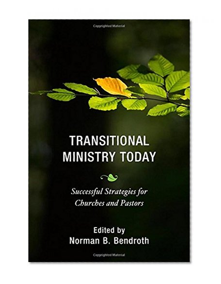 Book Cover Transitional Ministry Today: Successful Strategies for Churches and Pastors