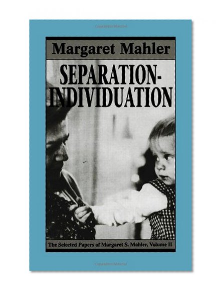 Separation--Individuation: Essays in Honor of Margaret S. Mahler (The Master Work Series) (v. 2)