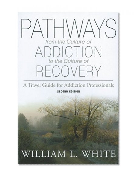 Book Cover Pathways from the Culture of Addiction to the Culture of Recovery: A Travel Guide for Addiction Professionals, 2nd Edition