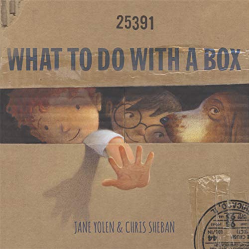 Book Cover What To Do With a Box