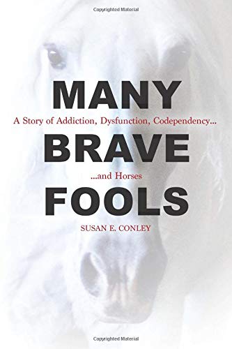 Book Cover Many Brave Fools: A Story of Addiction, Dysfunction, Codependency...and Horses