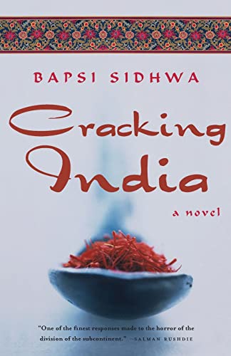 Book Cover Cracking India: A Novel