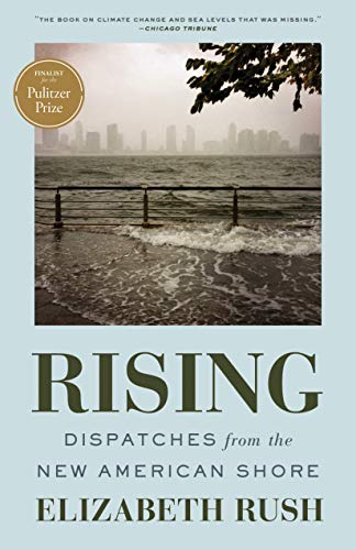 Book Cover Rising: Dispatches from the New American Shore