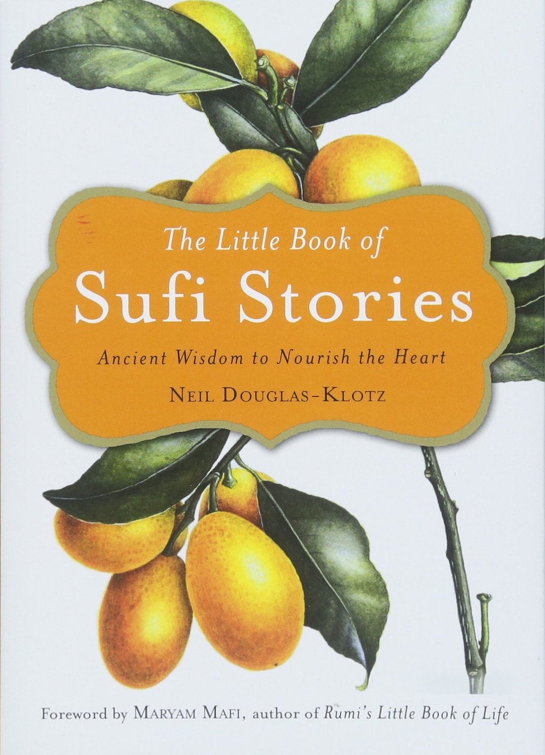 Book Cover The Little Book of Sufi Stories: Ancient Wisdom to Nourish the Heart