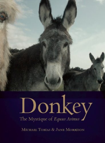 Donkey: The Mystique of Equus Asinus