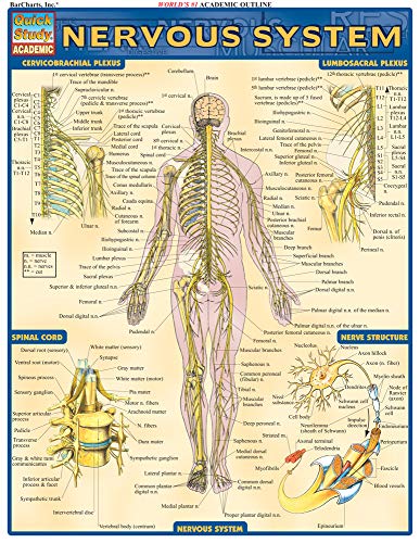 Book Cover Nervous System (Quick Study Academic)