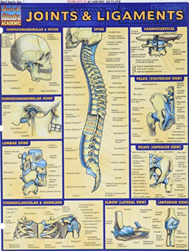 Book Cover Joints & Ligaments (Quick Study Academic)