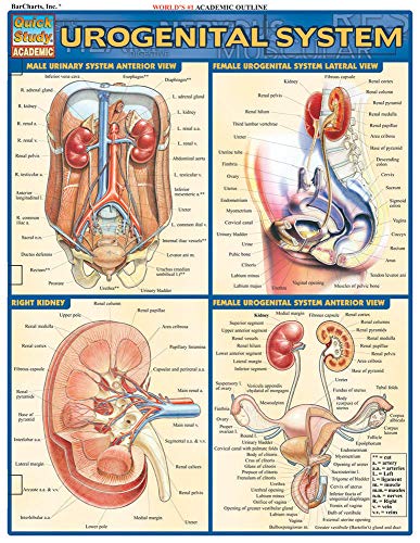 Book Cover Urogenital System (Quick Study Academic)