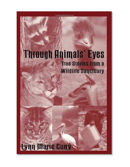 Through Animals' Eyes: True Stories from a Wildlife Sanctuary