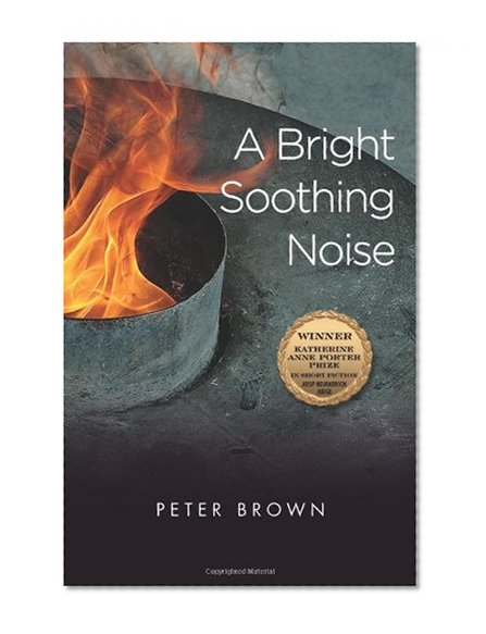 A Bright Soothing Noise (Katherine Anne Porter Prize in Short Fiction)