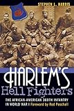 Harlem's Hell Fighters: The African-American 369th Infantry in World War I
