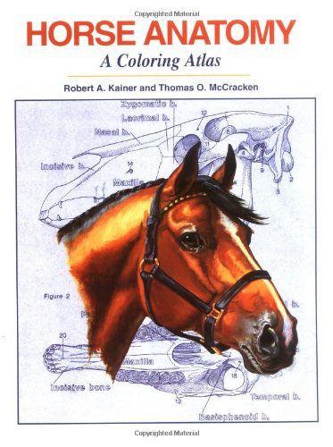 Book Cover Horse Anatomy: A Coloring Atlas, 2nd Edition