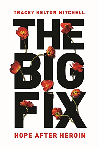 Book Cover The Big Fix: Hope After Heroin