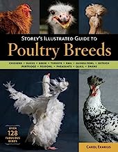 Book Cover Storey's Illustrated Guide to Poultry Breeds: Chickens, Ducks, Geese, Turkeys, Emus, Guinea Fowl, Ostriches, Partridges, Peafowl, Pheasants, Quails, Swans
