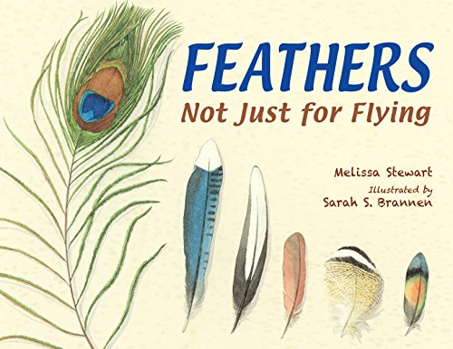 Book Cover Feathers: Not Just for Flying