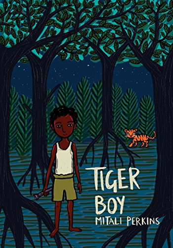 Book Cover Tiger Boy