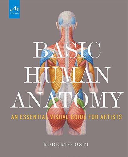 Book Cover Basic Human Anatomy: An Essential Visual Guide for Artists