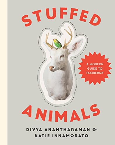 Book Cover Stuffed Animals: A Modern Guide to Taxidermy