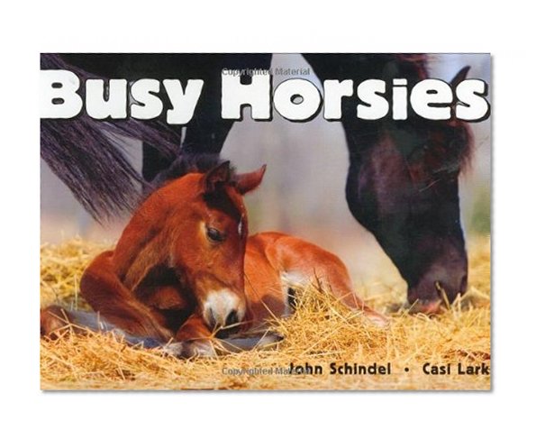 Book Cover Busy Horsies (A Busy Book)