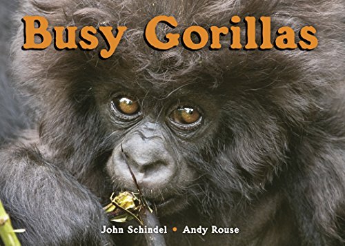 Book Cover Busy Gorillas (A Busy Book)