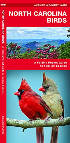 Book Cover North Carolina Birds: A Folding Pocket Guide to Familiar Species (A Pocket Naturalist Guide)