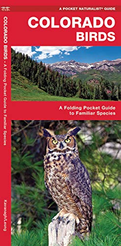 Book Cover Colorado Birds: A Folding Pocket Guide to Familiar Species (Wildlife and Nature Identification)