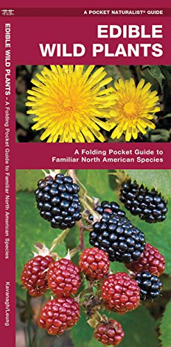 Book Cover Edible Wild Plants: A Folding Pocket Guide to Familiar North American Species (Outdoor Skills and Preparedness)
