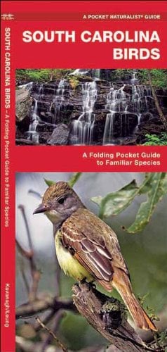 Book Cover South Carolina Birds: A Folding Pocket Guide to Familiar Species (Pocket Naturalist Guide Series)