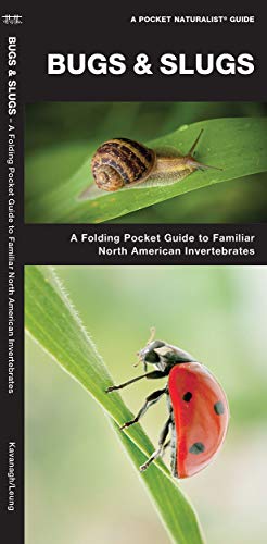 Book Cover Bugs & Slugs: A Folding Pocket Guide to Familiar North American Invertebrates (A Pocket Naturalist Guide)