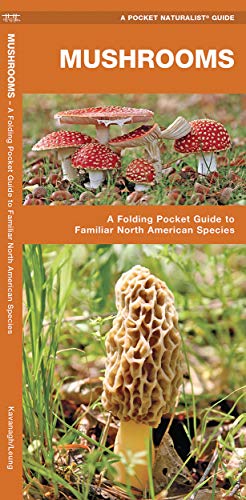 Book Cover Mushrooms: A Folding Pocket Guide to Familiar North American Species (Wildlife and Nature Identification)