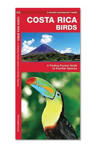 Book Cover Costa Rica Birds: A Folding Pocket Guide to Familiar Species (A Pocket Naturalist Guide)