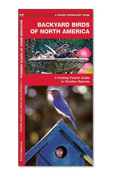 Backyard Birds of North America: A Folding Pocket Guide to Familiar Species (Pocket Naturalist Guide Series)
