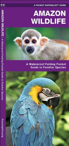 Book Cover Amazon Wildlife: A Waterproof Pocket Guide to Familiar Species (Pocket Naturalist Guide Series)