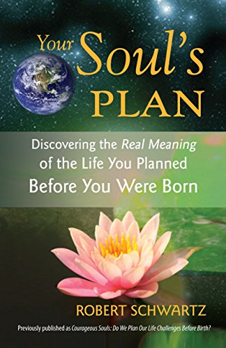Book Cover Your Soul's Plan: Discovering the Real Meaning of the Life You Planned Before You Were Born