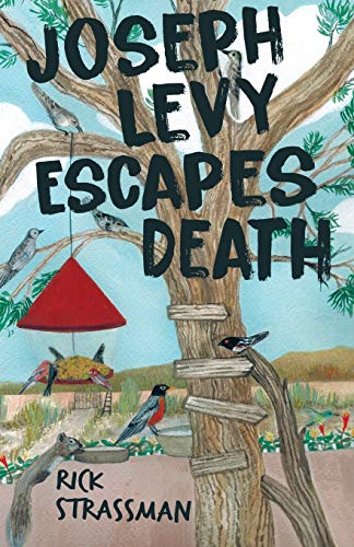 Book Cover Joseph Levy Escapes Death