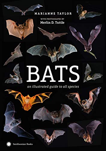 Book Cover Bats: An Illustrated Guide to All Species