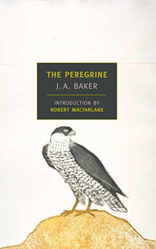 Book Cover The Peregrine (New York Review Books Classics)