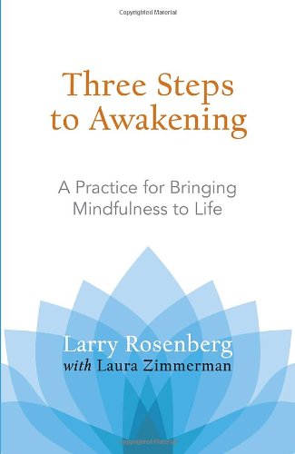 Three Steps to Awakening: A Practice for Bringing Mindfulness to Life