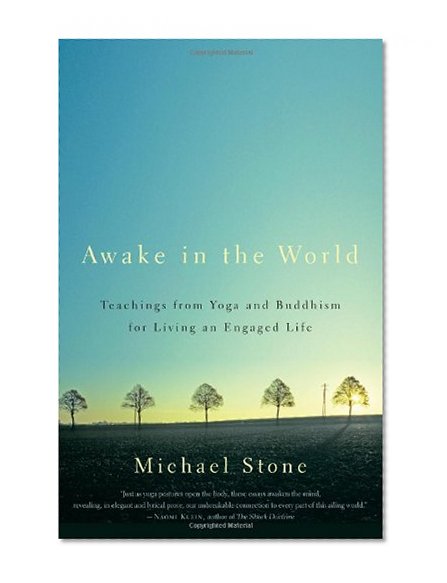 Awake in the World: Teachings from Yoga and Buddhism for Living an Engaged Life