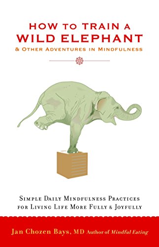 Book Cover How to Train a Wild Elephant: And Other Adventures in Mindfulness