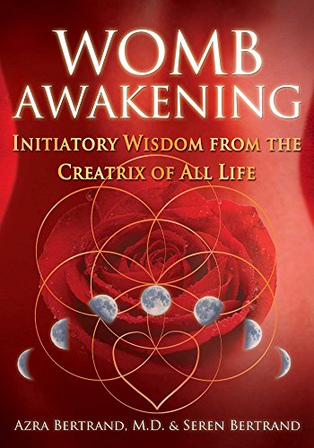Book Cover Womb Awakening: Initiatory Wisdom from the Creatrix of All Life