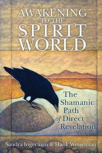 Book Cover Awakening to the Spirit World: The Shamanic Path of Direct Revelation