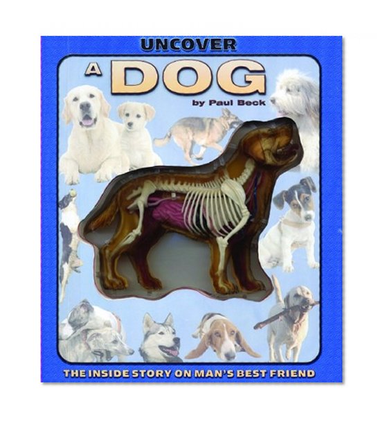 Book Cover Uncover a Dog (Uncover Books)