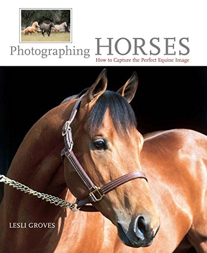 Book Cover Photographing Horses: How To Capture The Perfect Equine Image