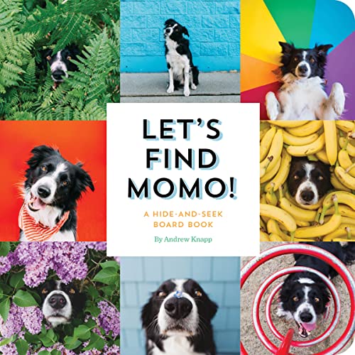 Book Cover Let's Find Momo!: A Hide-and-Seek Board Book
